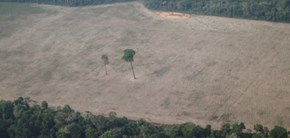 Desmatamento da Amazônia tem alta de 21,97% em 2021, diz Inpe