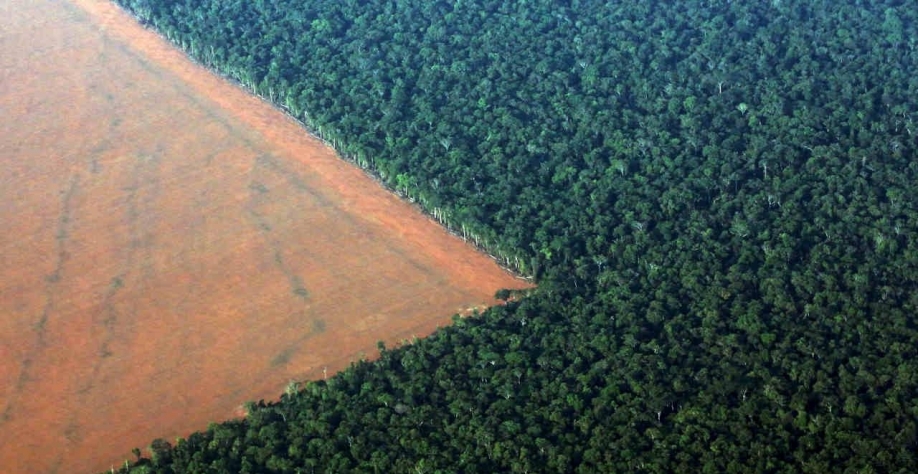 Legenda: “Não achamos exagero dizer que o Brasil tem o poder de moldar o perfil ambiental dos sistemas alimentares globais”, destaca o UBS (Imagem: Reuters/Paulo Whitaker)