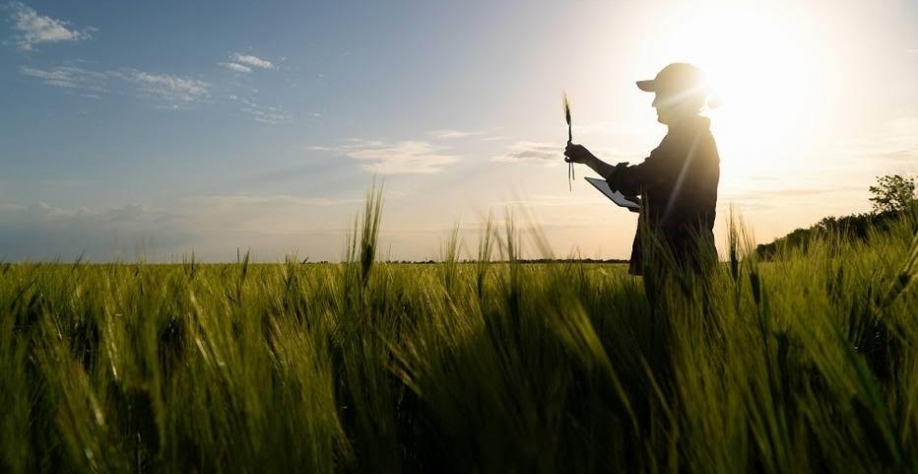 Legenda: Agronegócio deve impulsionar economia brasileira, mas mercado espera aumento de 0,5% no PIB para 2022 Foto: Divulgação/ Yara