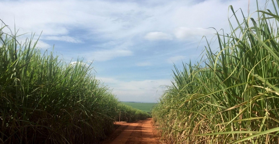 Para usineiros é natural CNPE fixa mistura na gasolina