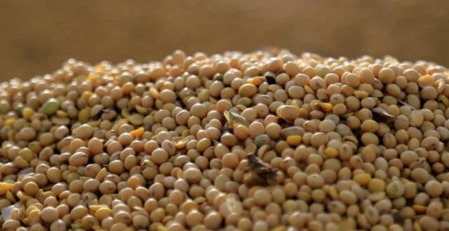 Exportações do agronegócio atingem US$ 120 bi em 2021, puxadas pela soja