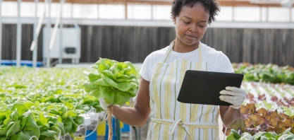 Desafio da conectividade também impacta a agricultura familiar nos EUA