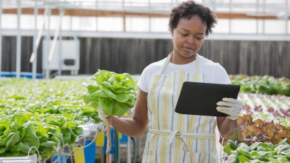 Desafio da conectividade também impacta a agricultura familiar nos EUA