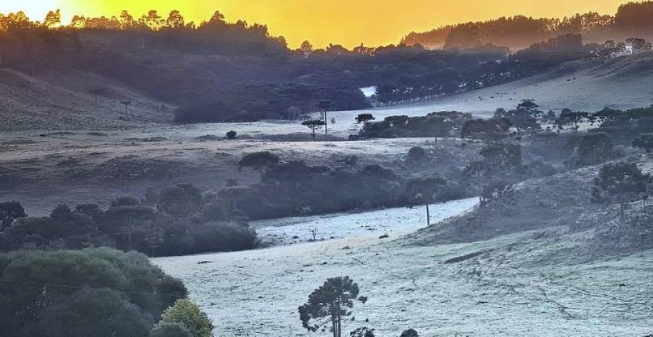 Legenda: O amanhecer desta terça (8) começou gelado em São Joaquim, na Serra Catarinense, com direito a formação de geada em pleno fevereiro de 2022 - Mycchel Legnaghi/São Joaquim Online