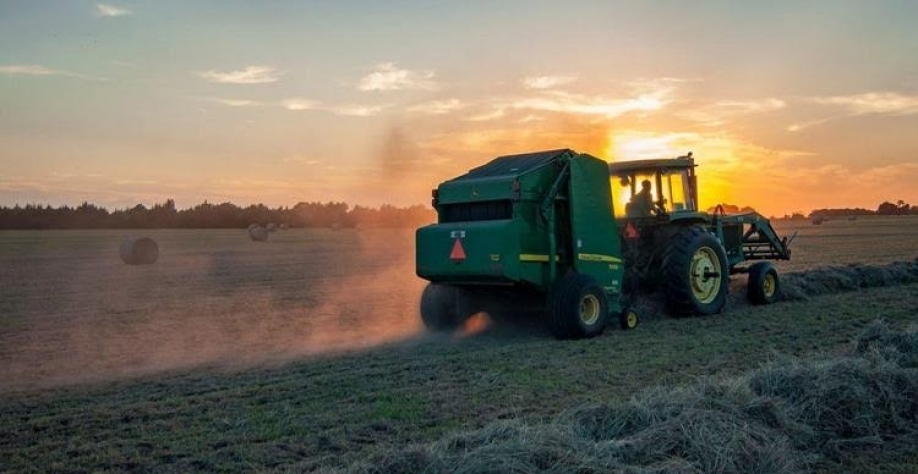 Preços de fertilizantes nitrogenados caem no início de 2022