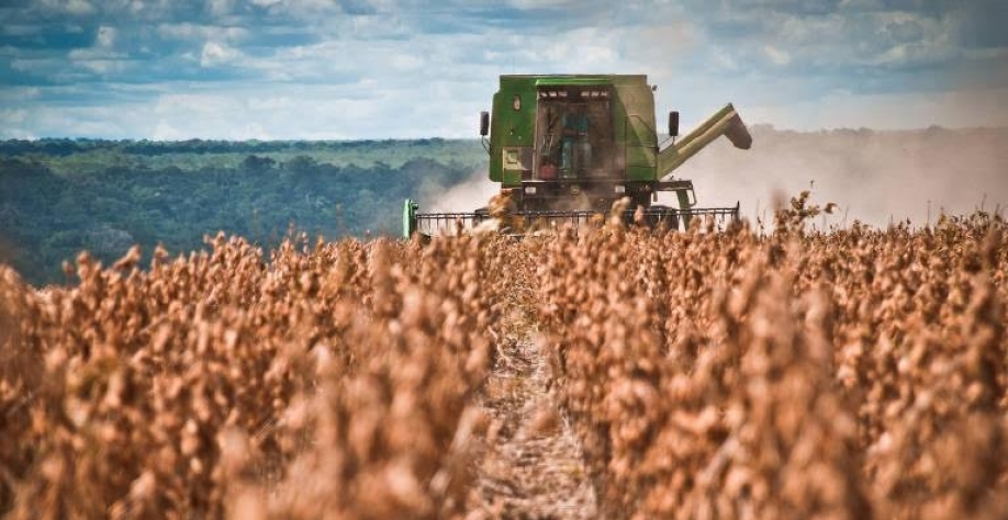 Legenda: Máquinas atuam em propriedade rural com soja no Mato Grosso - Ascom/Aprosoja