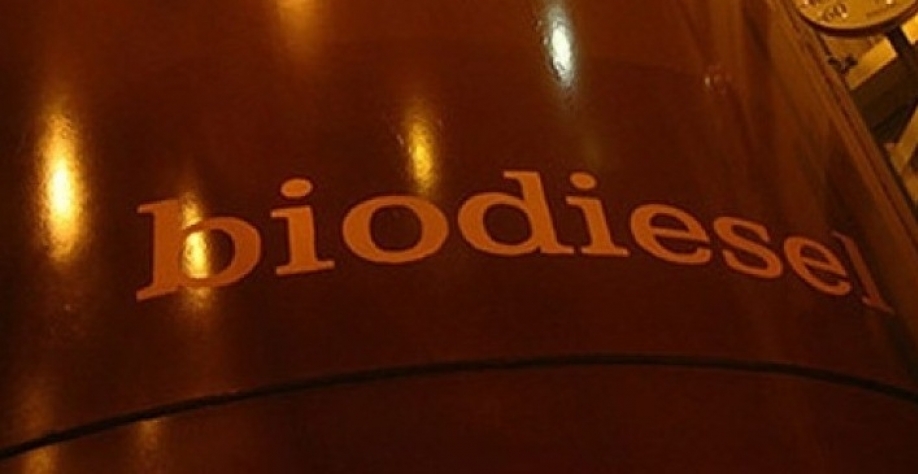 Governo quer importar e reclassificar biodiesel para tentar conter preços 