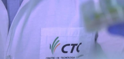 Plantio de cana transgênica quase dobra na nova safra do Brasil, diz CTC 