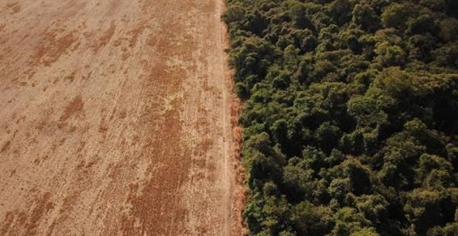 Legenda: Vista aérea mostra o desmatamento próximo a uma floresta na fronteira entre a amazônia e o cerrado em Nova Xavantina (MT) - Amanda Perobelli - 28.jul.2021/Reuters