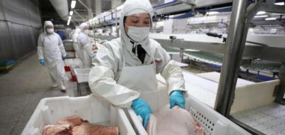 Com menor demanda chinesa, exportação de carne suína do Brasil recua