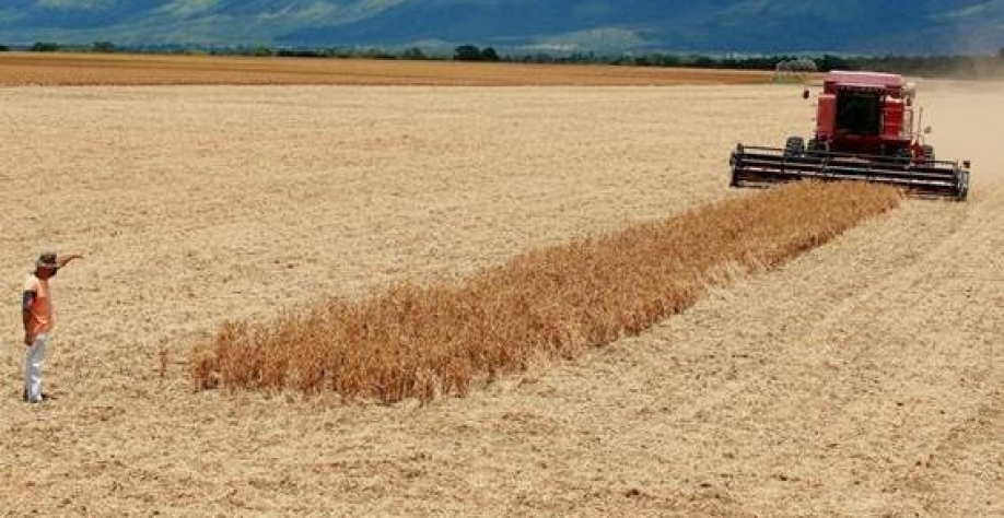 Legenda: Comissão da Câmara aprova projeto que permite a produtor fazer “autocontrole” de fiscalização agropecuária  Foto: Dida Sampaio/Estadão