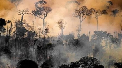 Amazônia tem maior número de incêndios em maio desde 2004