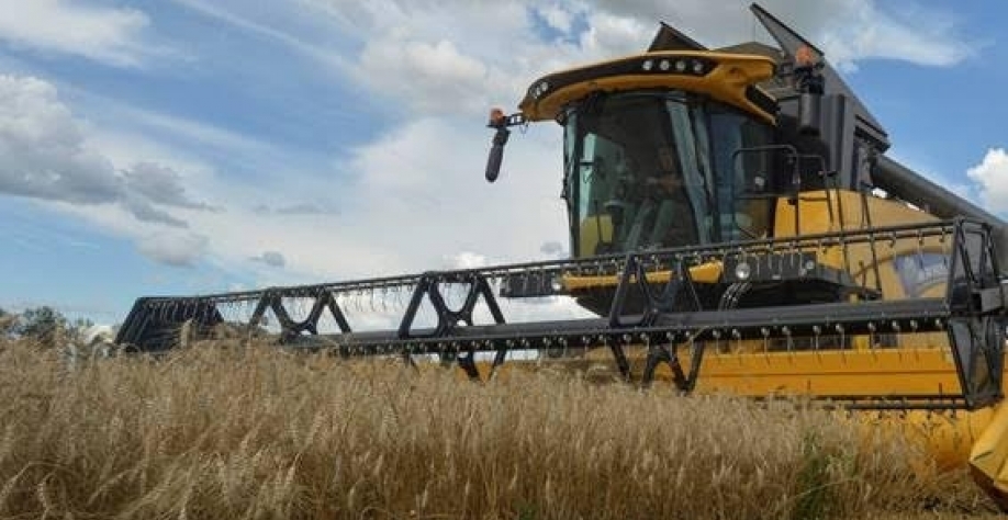 Legenda: Campo de trigo em Kharkiv, na Ucrânia. Foto Sofiia Gatilova - 19.jul.2022/Reuters