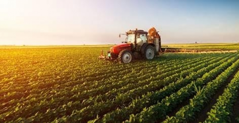 Poder de compra de fertilizantes pelo agricultor melhora em junho