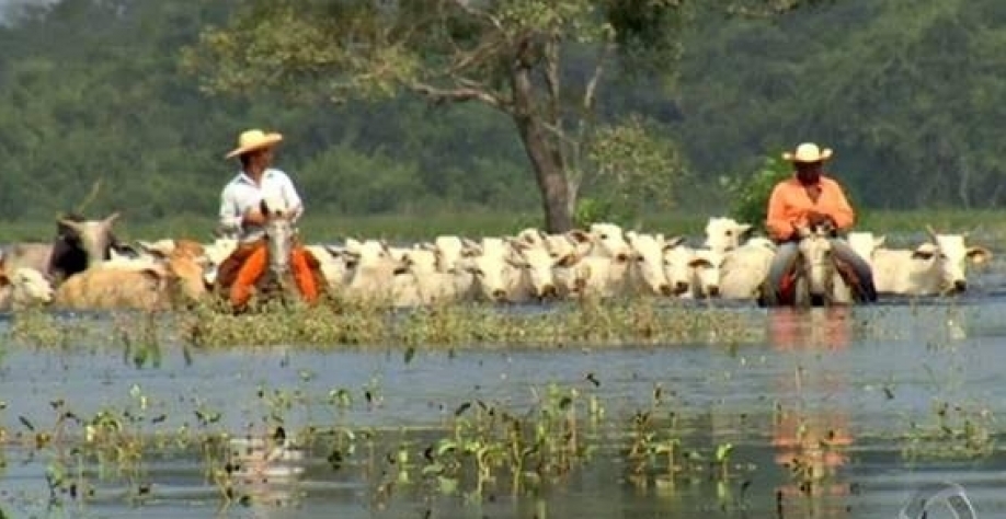 Governador de MT sanciona lei que altera proteção do Pantanal