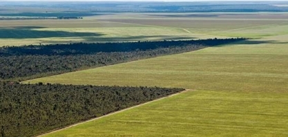 Soja avança e já ocupa 10% do cerrado, mostra levantamento do MapBiomas