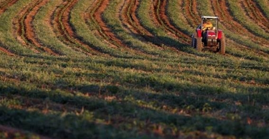 Fertilizantes/EUA: Custos seguem próximos de níveis recordes