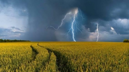 A agricultura diante das mudanças climáticas