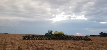 Ritmo de plantio de soja no Brasil fica mais lento com clima errático