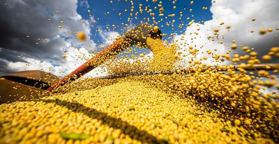 Com queda da soja, valor bruto da produção agropecuária recua neste ano 