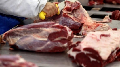 Carne bovina: Exportação em setembro sobe 10,5% em receita e 6% em volume