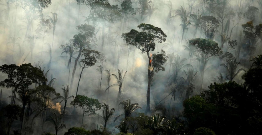 Em 100 dias, novo governo poderia 'destravar' Amazônia, defende iniciativa