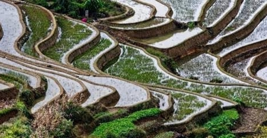 China aumentará investimento em infraestrutura rural