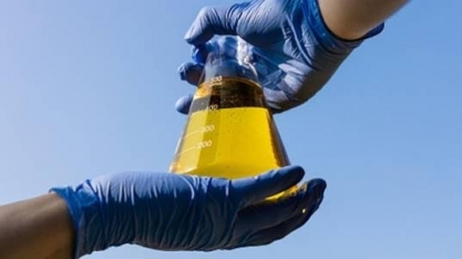 Biodiesel: Otimismo com novo governo eleito e avanço para mistura