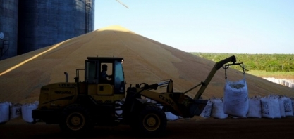 Rabobank vê maior consumo de adubos e exportação de milho no Brasil em 2023