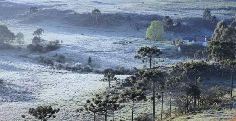 Legenda: Vale do Caminhos da Neve, em São Joaquim, na serra catarinense, amanheceu coberta por gelo nesta quarta (2) - Mycchel Legnaghi/@saojoaquimonline.com.br