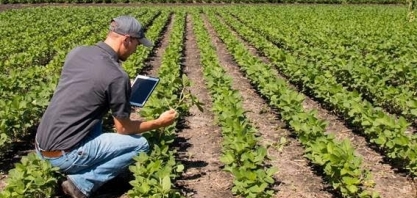 Região Sul eleva participação nas receitas agrícolas do país em 2023