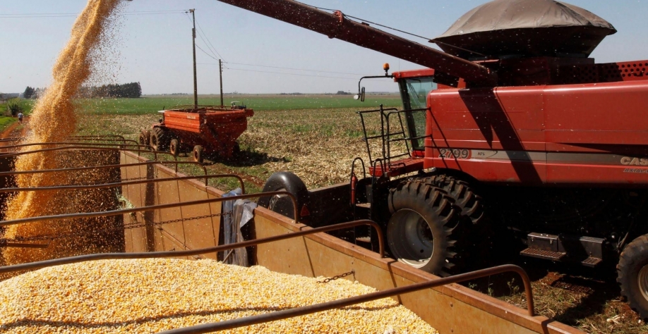 Milho: Análise Conjuntural Agromensal Novembro/22 Cepea/Esalq/USP