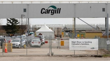 Setor de soja pode atender lei da UE, mas há desafios, diz CEO da Cargill