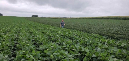 MT pode elevar produção de soja em até 56% em 10 anos