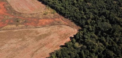 Até 40% do que resta da Amazônia já sofreu degradação, dizem estudos