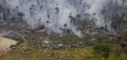 Desmatamento na Amazônia tem queda de 61% em janeiro, aponta Inpe