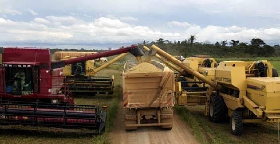 Safra de soja em no mínimo de 150 milhões de toneladas é um dos pontos do agronegócio que sustentarão o PIB em 2023 (Imagem: REUTERS/Paulo Whitaker PW)