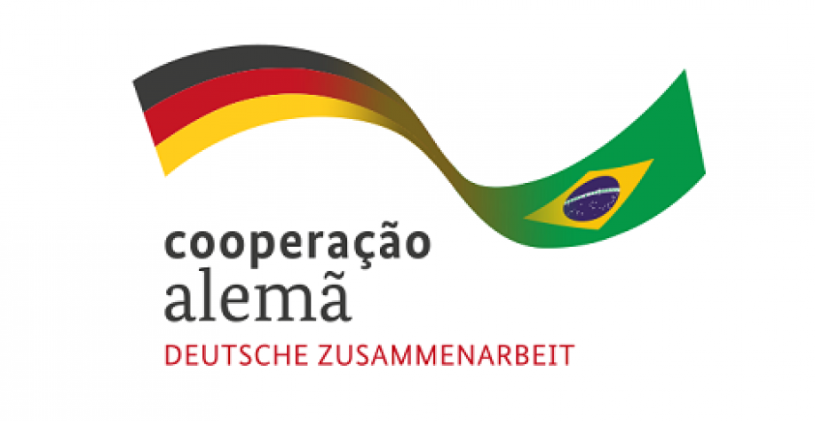 Transição energética e a retomada da cooperação entre Alemanha e Brasil