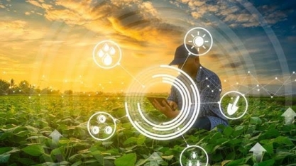 Internet no campo avança, mas zonas sem conexão prejudicam uso de máquinas