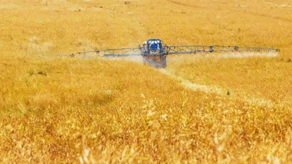 Importação de agrotóxicos tem queda de 50% no ano 