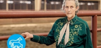 Quem é Temple Grandin, a mulher autista que revolucionou o bem-estar animal