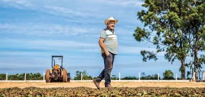 Governo incentiva alimentos básicos, que têm recuo recorde de áreas   