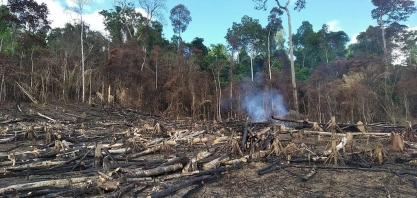 El Niño pode ser a 'tempestade perfeita' para destruição da Amazônia