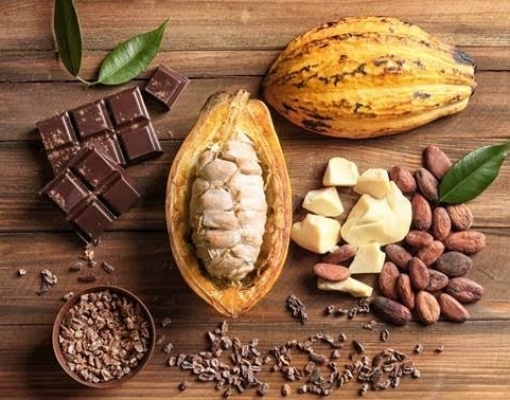 O fruto cacau, sementes e chocolate. Foto Africa Studio/Shutterstock.com