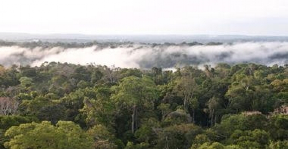 Incentivar economia que preserve a Amazônia é fundamental para metas ambientais do Brasil. Foto- Herton Escobar-Estadao