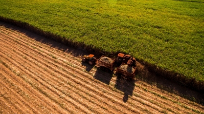 Cana/CTC: Produtividade do Centro-Sul aumenta 19% no ciclo 2023/24 