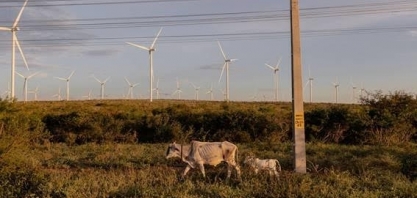 Empresas investem de olho na “Arábia do hidrogênio verde”