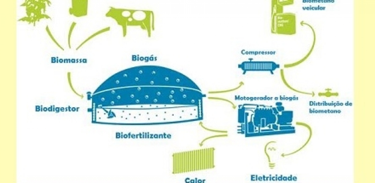 Fazendeiros do biometano: como eles giram a economia circular do Centro-Oeste