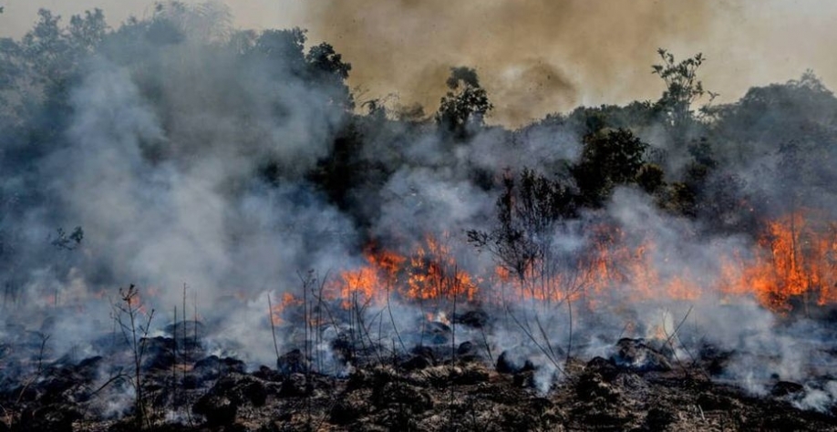  Amazônia e Cerrado registram em junho maior número de queimadas desde 2007