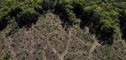 El Niño vem aí, com risco de tempo ruim para a floresta e preços de comida